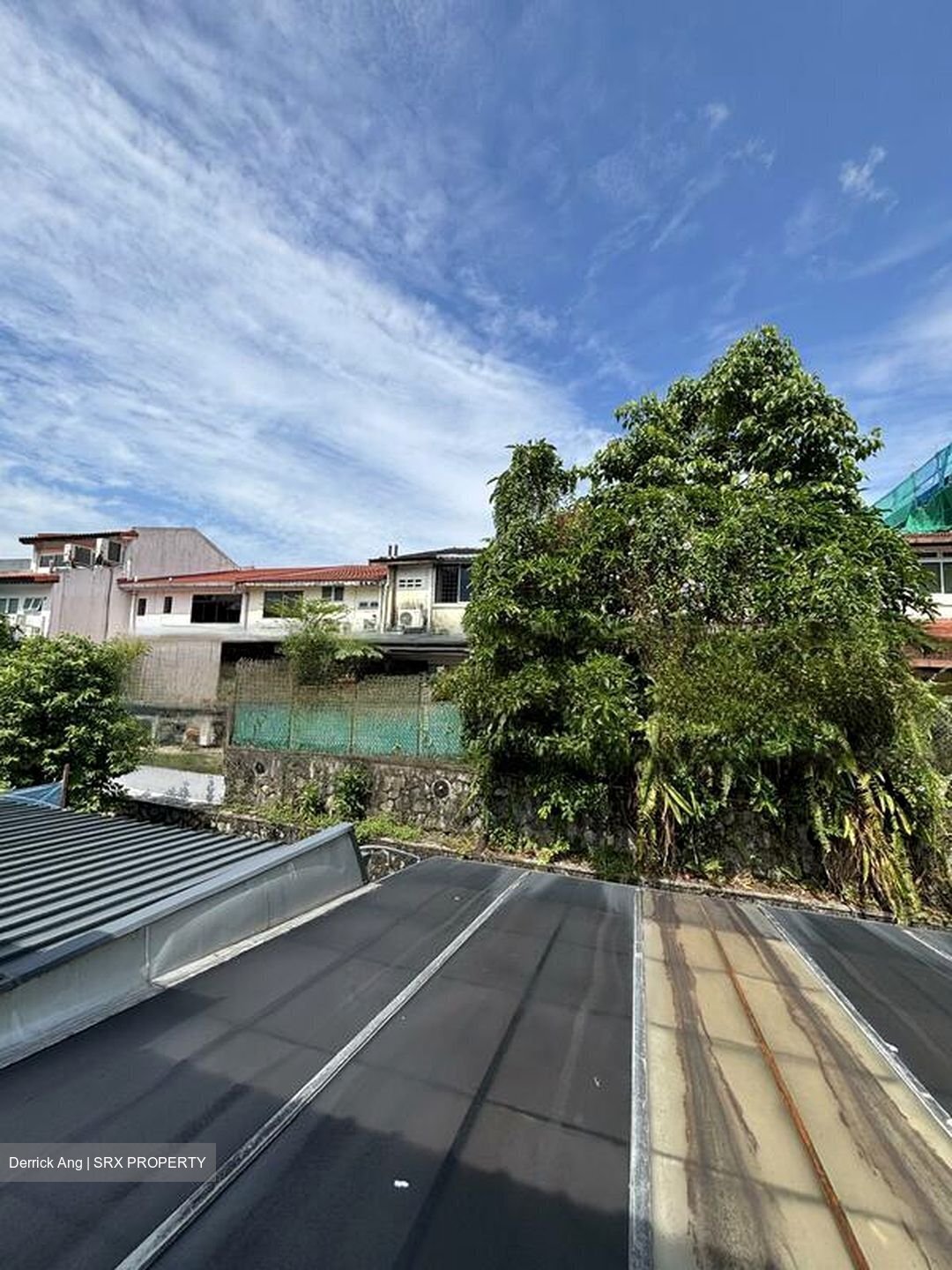 Mount Sinai (D10), Terrace #456398961